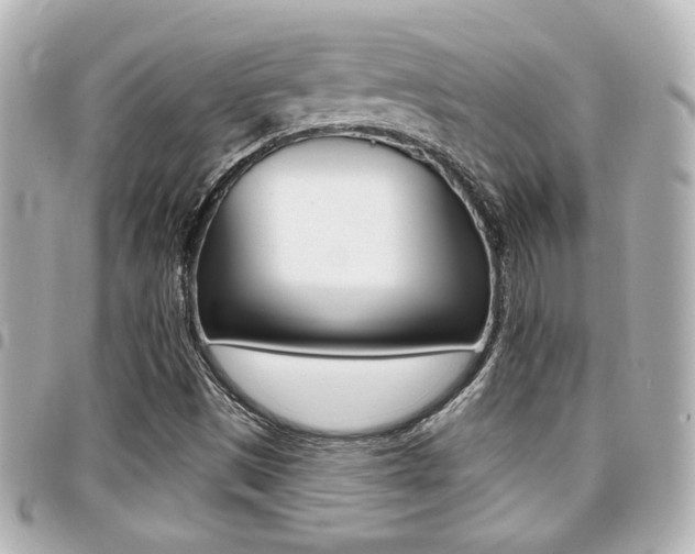 X0000094441497200711081014
