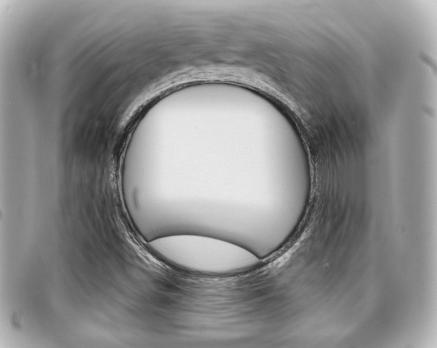 X0000094441498200711081014