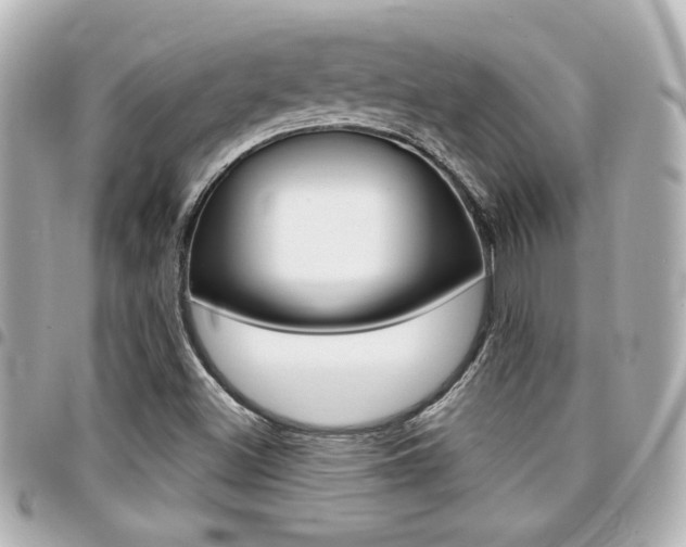 X0000094441500200711081014