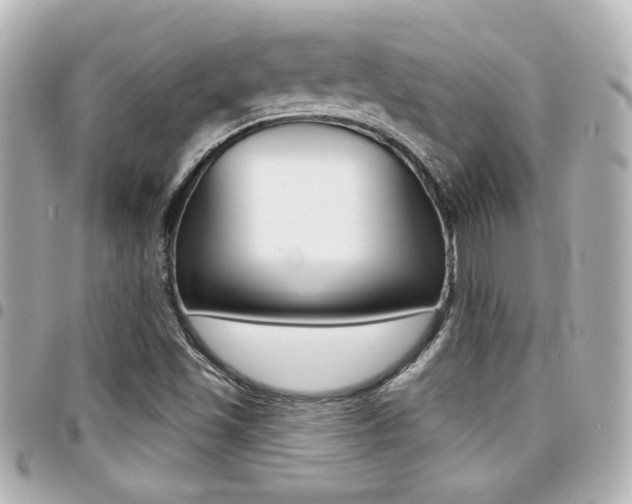 X0000094441501200711081014