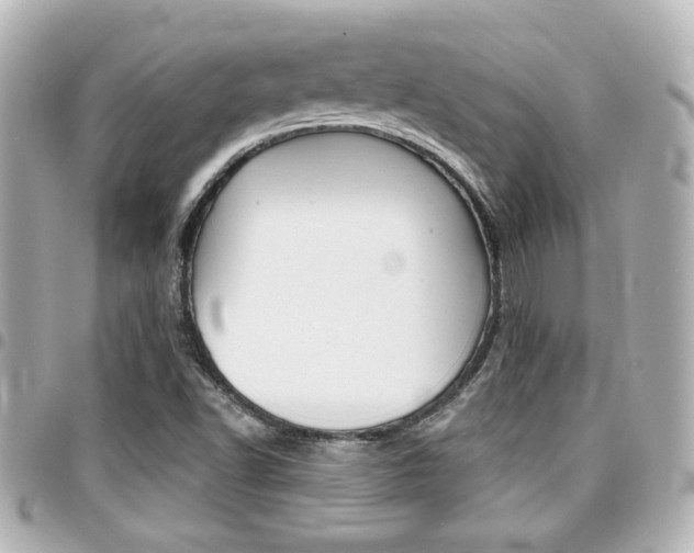 X0000094441502200711081014