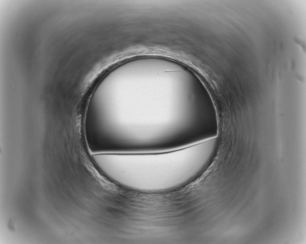 X0000094441503200711081014