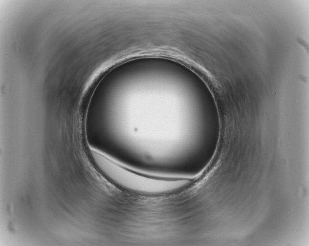 X0000094441506200711081014