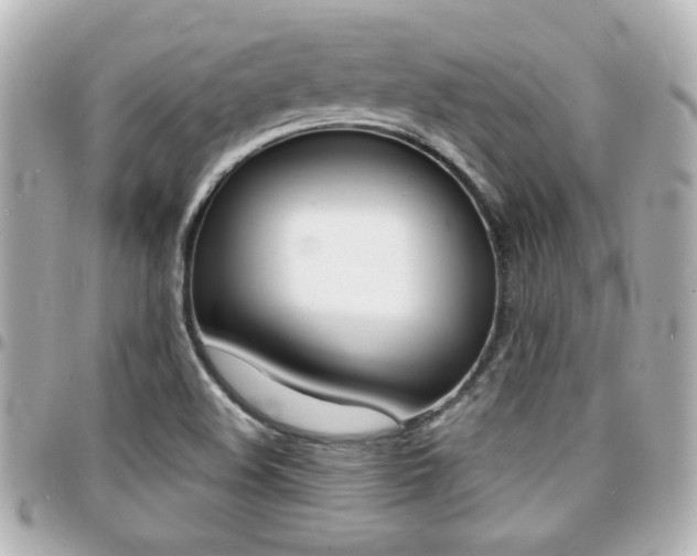 X0000094441508200711081014