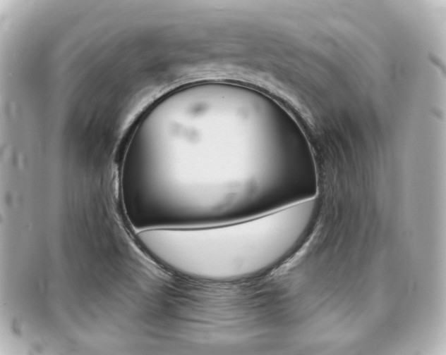 X0000094441509200711081014