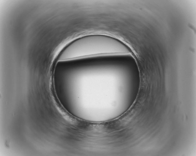 X0000094441511200711081014