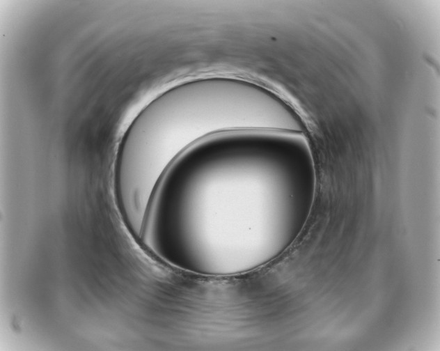 X0000094441512200711081014