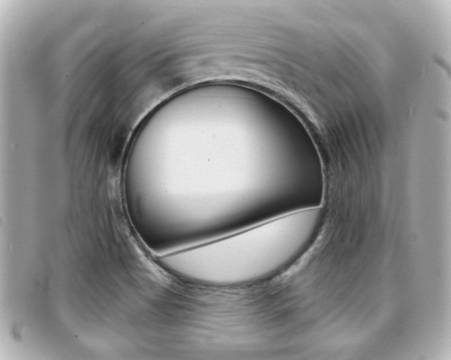 X0000094441513200711081014