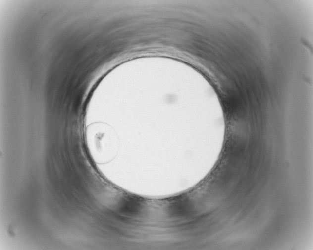 X0000094441514200711081014