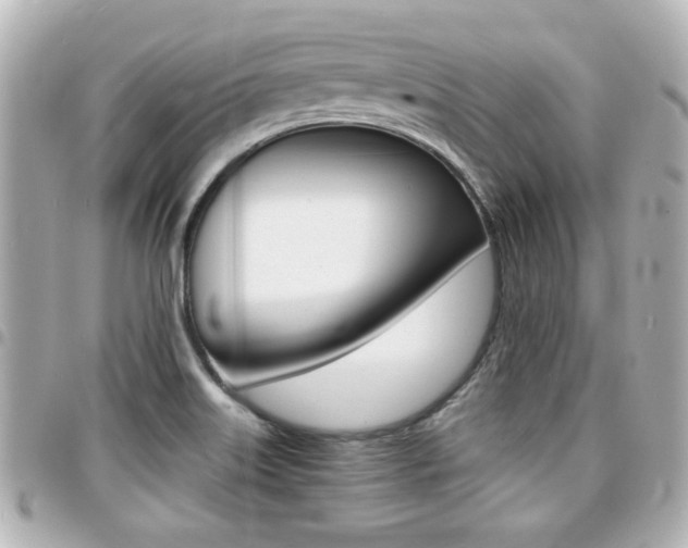 X0000094441515200711081014