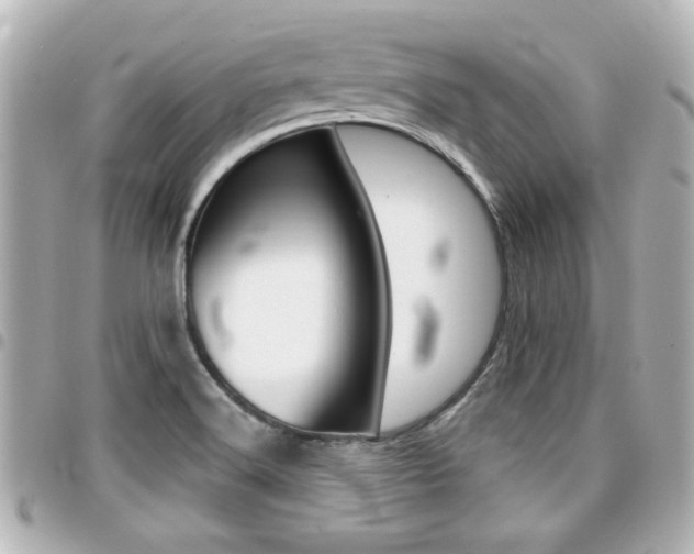 X0000094441516200711081014