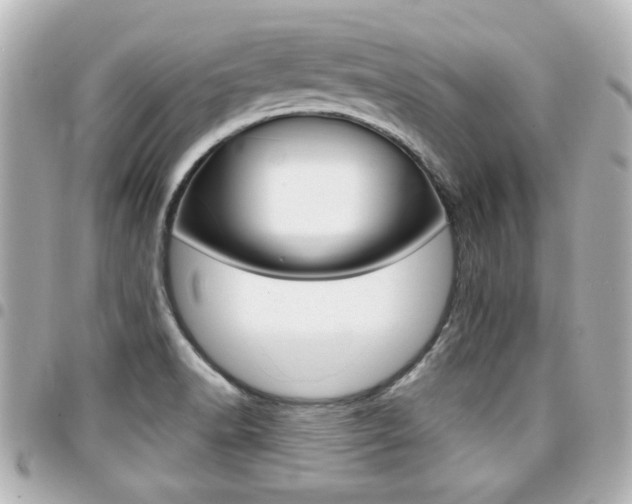 X0000094441518200711081014