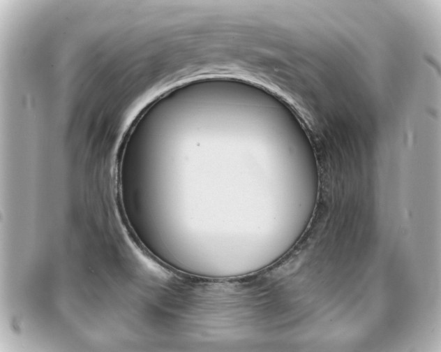 X0000094441519200711081014