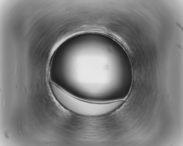 X0000094441520200711081014