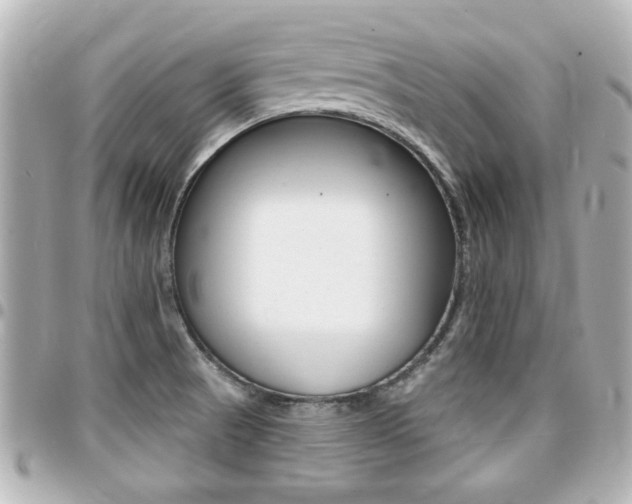 X0000094441521200711081014