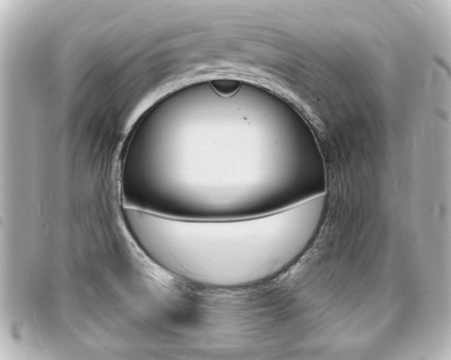 X0000094441522200711081014