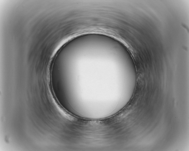X0000094441523200711081014