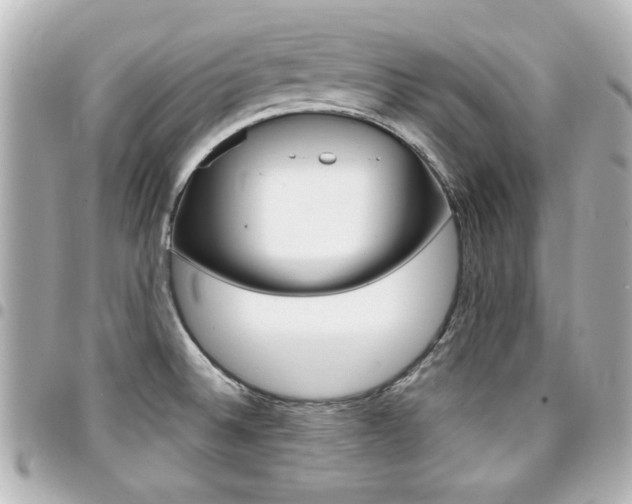 X0000094441524200711081014