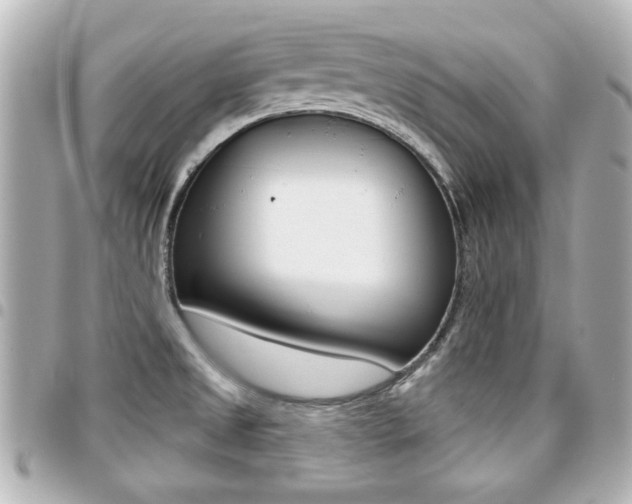 X0000094441525200711081014
