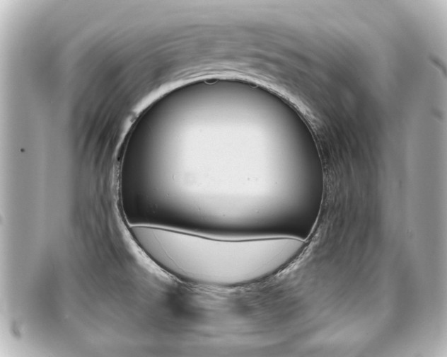 X0000094441526200711081014