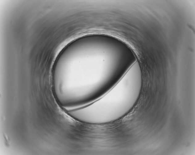 X0000094441527200711081014