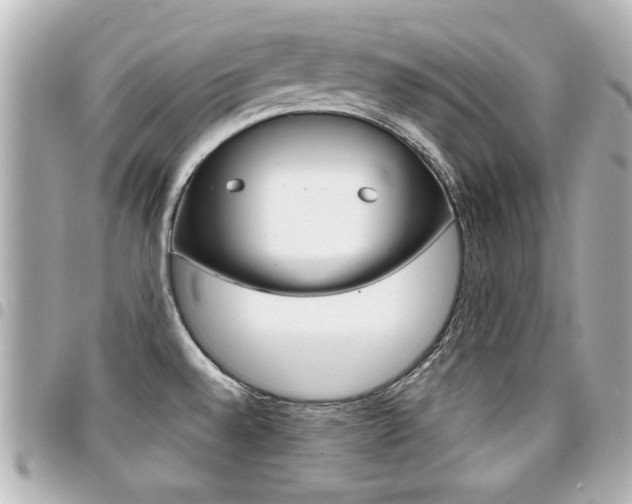 X0000094441528200711081014