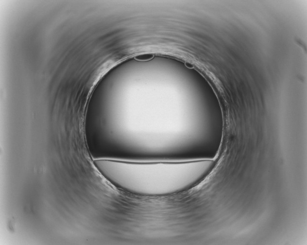 X0000094441529200711081015