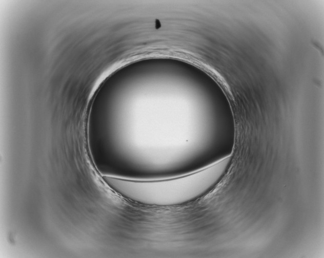 X0000094441530200711081015