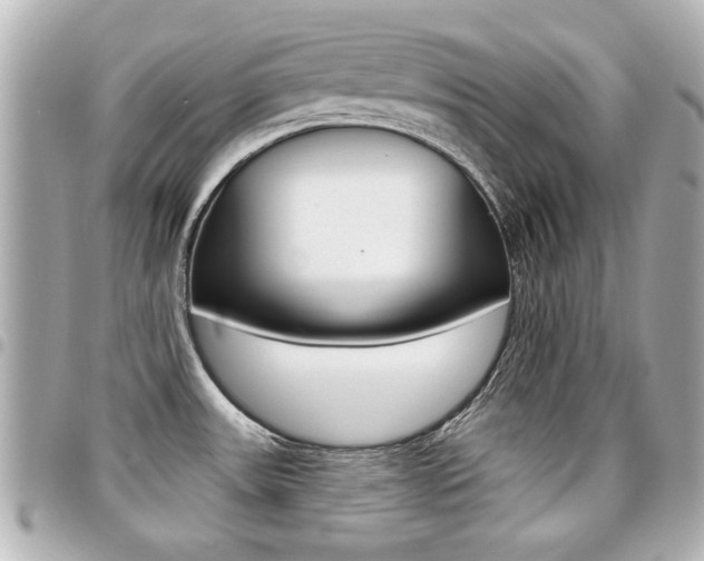 X0000094441531200711081015
