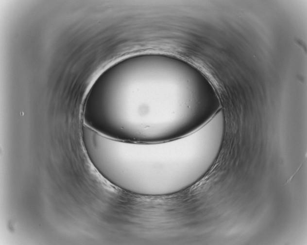 X0000094441532200711081015
