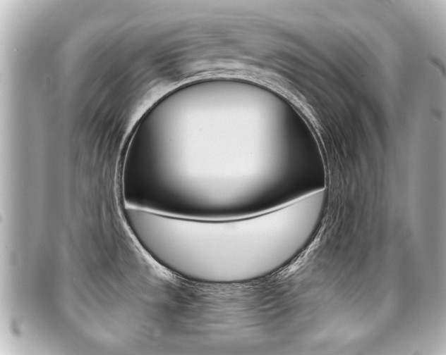 X0000094441533200711081015