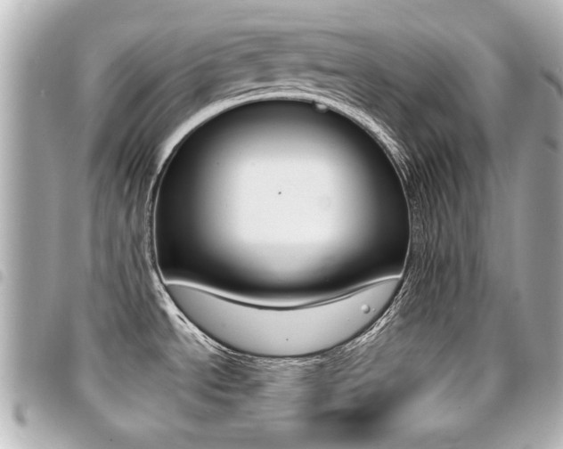 X0000094441534200711081015
