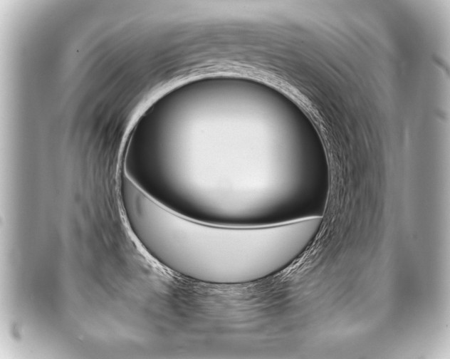 X0000094441536200711081015