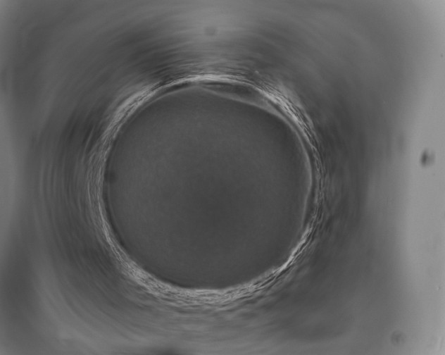 X0000094440001200711081259