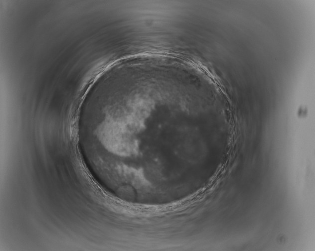 X0000094440002200711081259