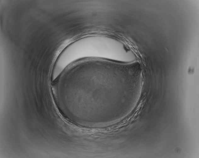 X0000094440003200711081259