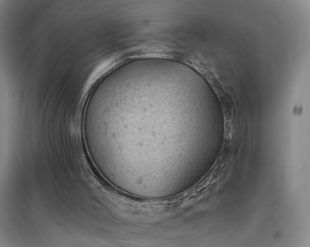 X0000094440004200711081259