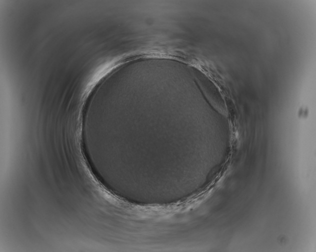 X0000094440005200711081259