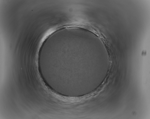 X0000094440006200711081259