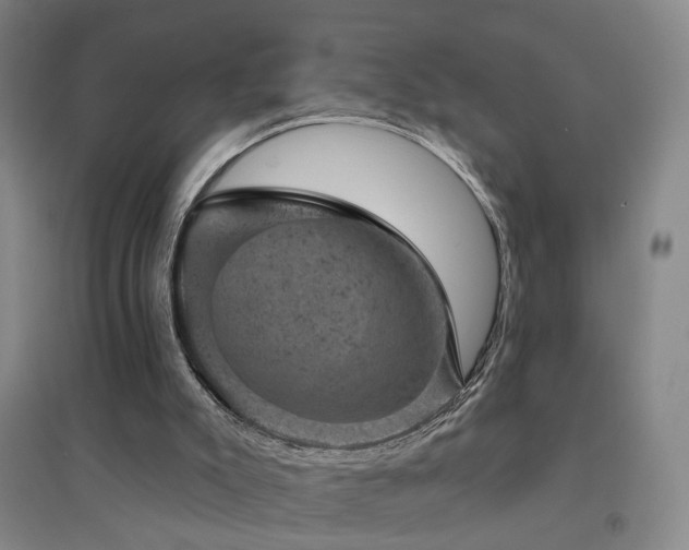 X0000094440007200711081259