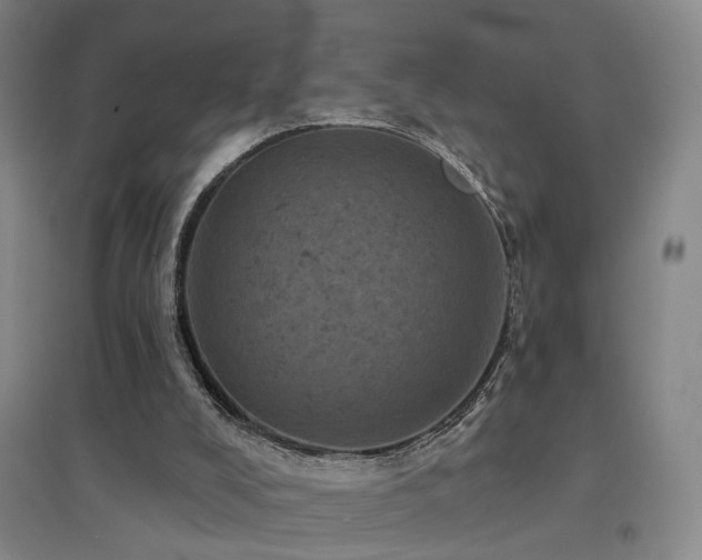 X0000094440008200711081259