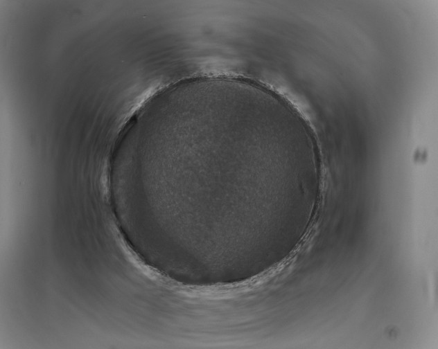 X0000094440009200711081259