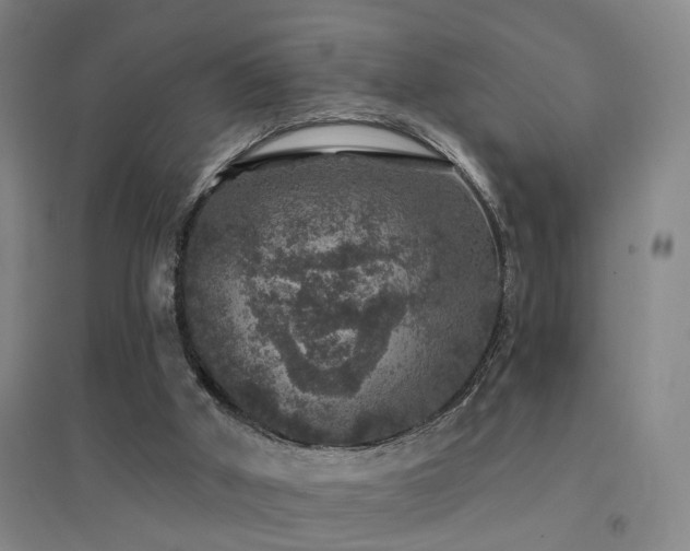 X0000094440010200711081259