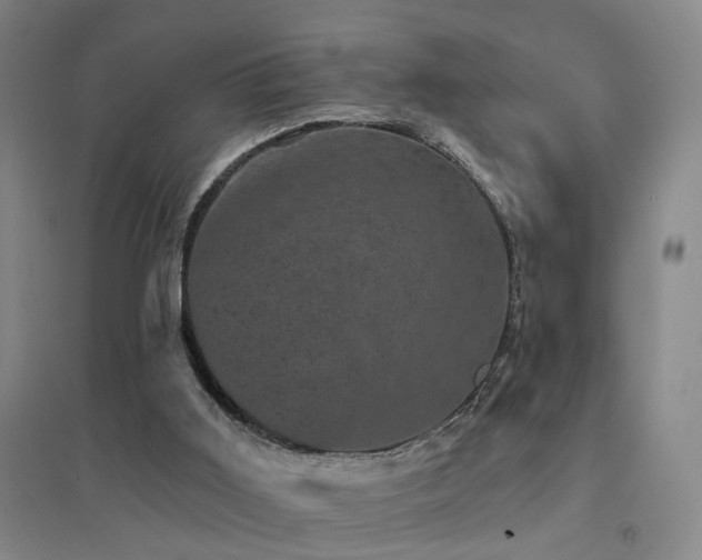 X0000094440011200711081259