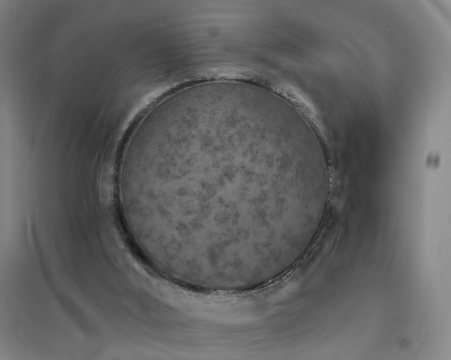 X0000094440012200711081259