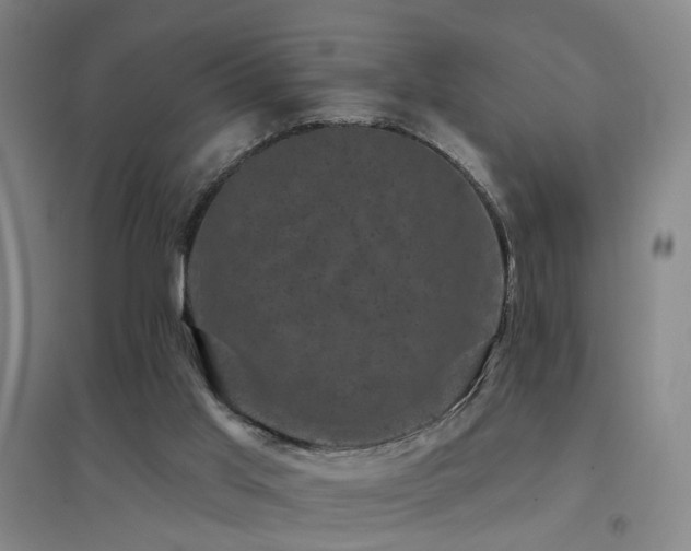 X0000094440013200711081259