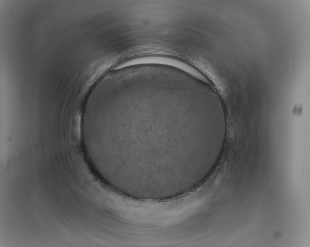 X0000094440014200711081259