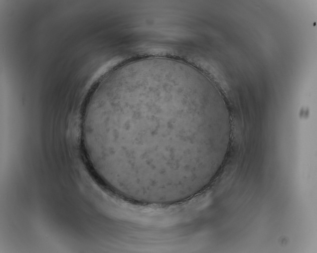 X0000094440016200711081259