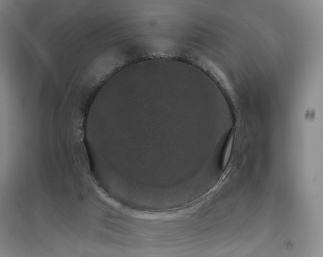 X0000094440017200711081259