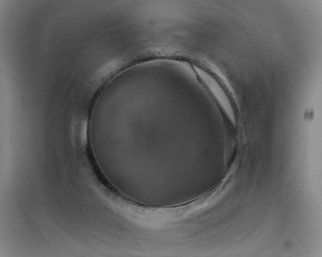 X0000094440019200711081259